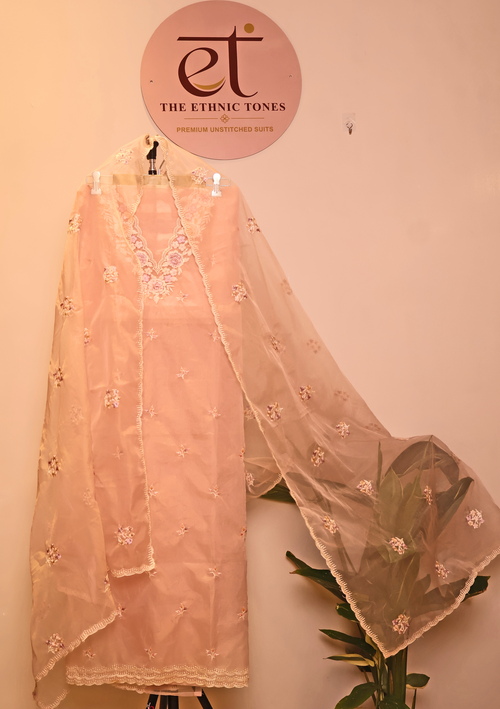 Blush Pink Organza Unstitched Suit with Parsi Floral Neckline & Tall Thread Meena Work